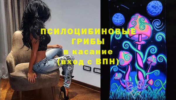 тгк Богородск