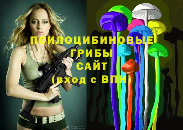 амф Богородицк