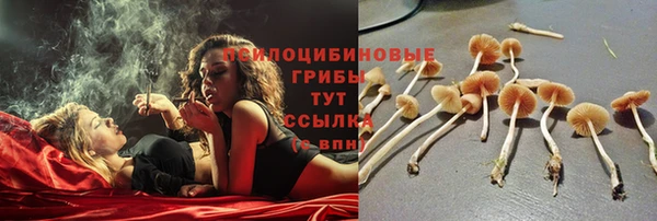 2c-b Богданович